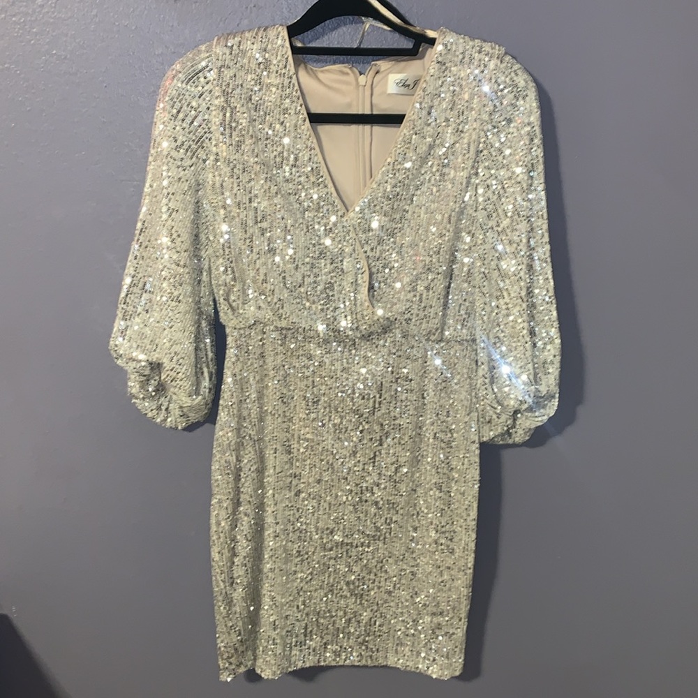 Shimmery Dress